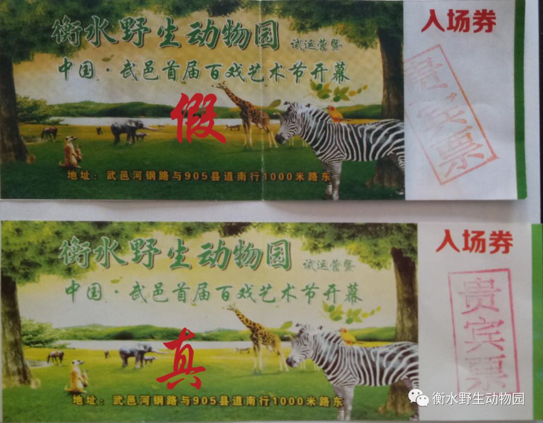 特马资料并且澳门一码一肖一恃一中240期的警惕虚假宣传-全面释义、解释与落实、构建解答解释落实