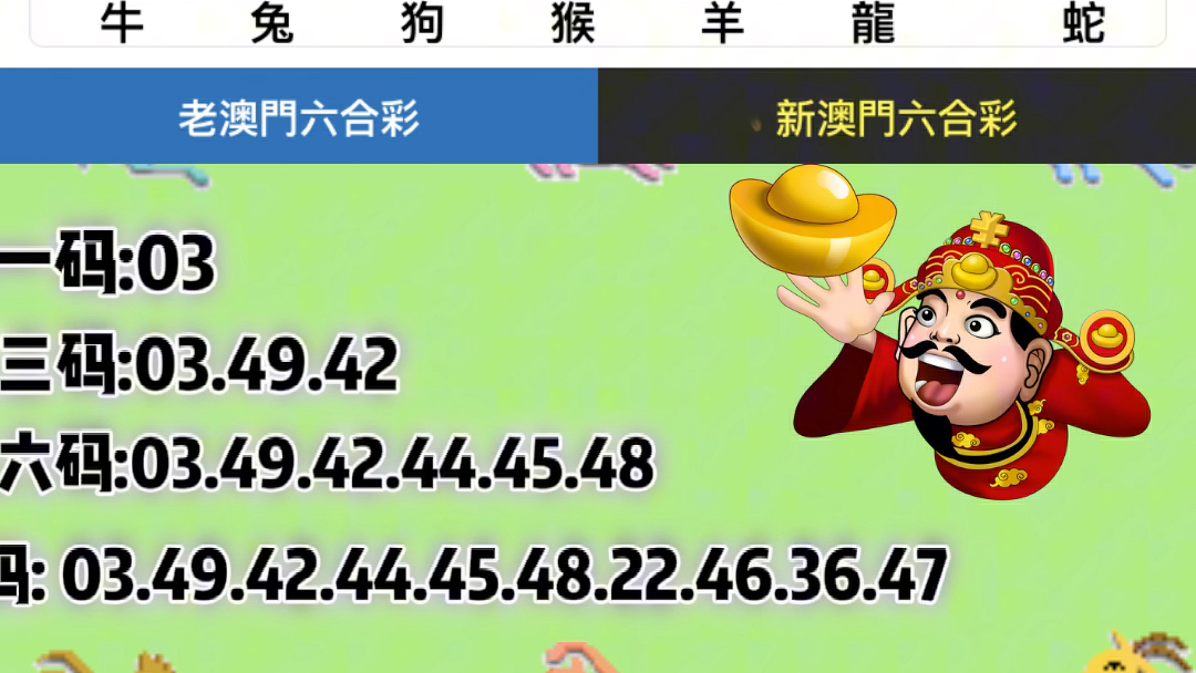二四六管家婆玄机与2025澳门开奖结果查询，全面释义、深度解答解释落实
